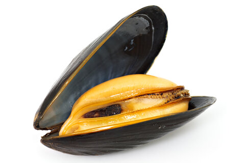 Le danger c’est la moule, pas le burnout